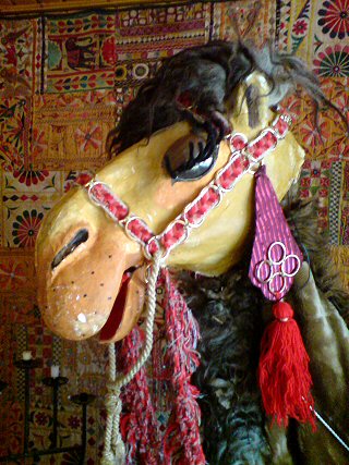 SAMMY THE CAMEL